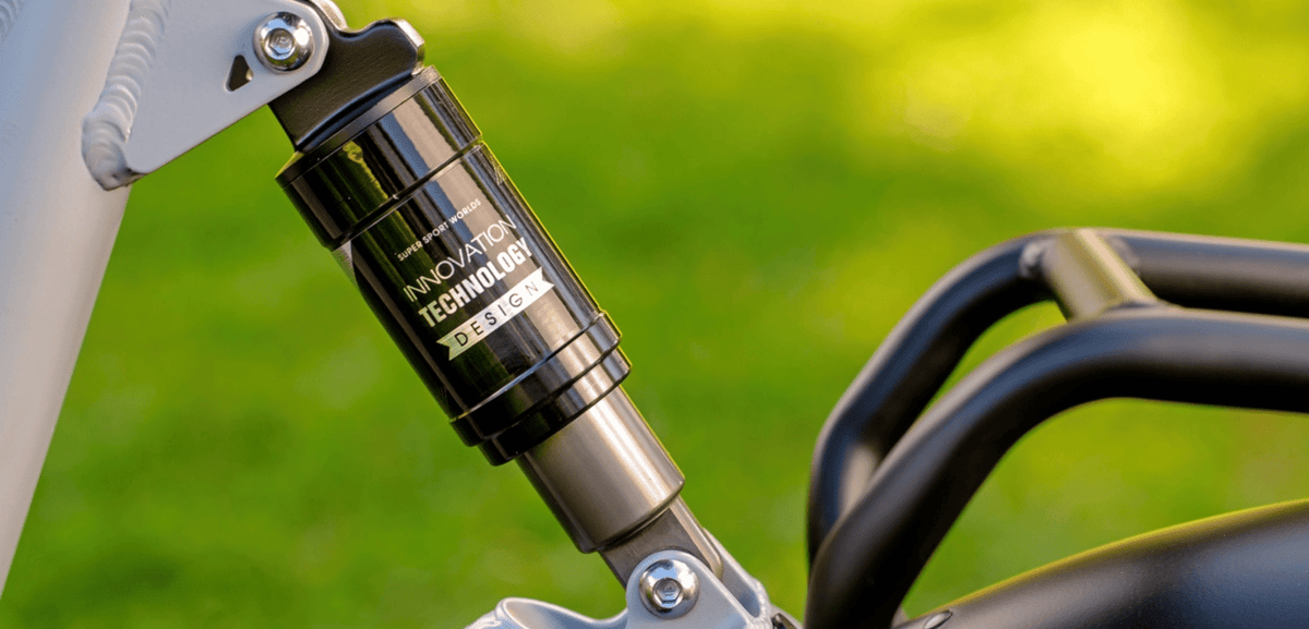 Dual Suspension vs Hardtail E-bike,Why Choose Dual Suspension - PVY E-BIKE